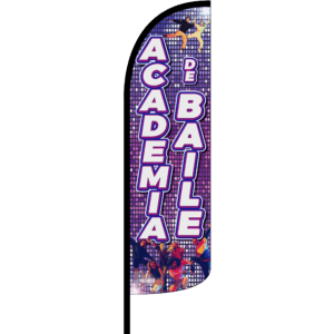 Bandera Academia de Baile Disco